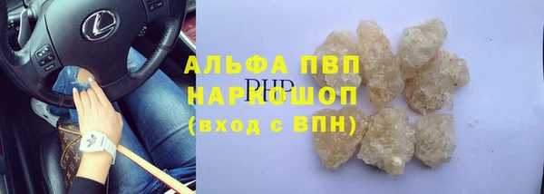 ПСИЛОЦИБИНОВЫЕ ГРИБЫ Белокуриха