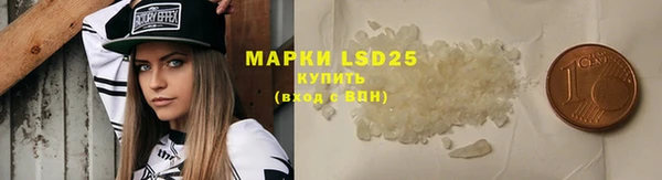 ПСИЛОЦИБИНОВЫЕ ГРИБЫ Балахна