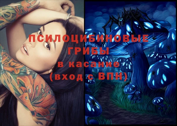 ПСИЛОЦИБИНОВЫЕ ГРИБЫ Белокуриха
