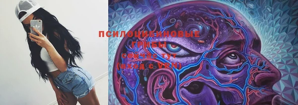 ПСИЛОЦИБИНОВЫЕ ГРИБЫ Балахна