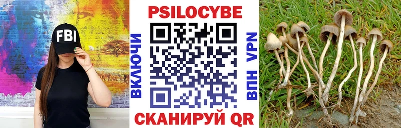 Псилоцибиновые грибы Psilocybe Конаково
