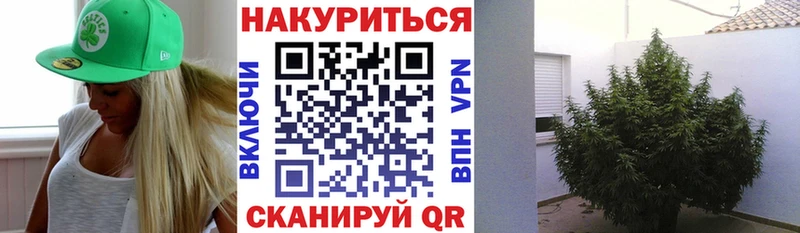 где купить   Конаково  МАРИХУАНА индика 